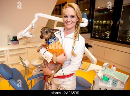 Berlino, Germania. 04 Dic, 2019. Birte Habedank, bambini e giovani dentista, sorge con Peppi, terapia cane, in una sala di trattamento di una pratica dentistica in Berlin-Charlottenburg. (Per "l'assistenza degli animali - Cane terapia dal dentista") Credito: Fabian Sommer/dpa/Alamy Live News Foto Stock