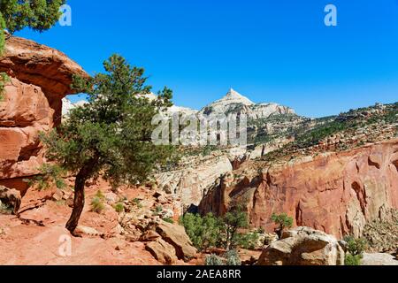 Grand Lavare Trail, Capitol Reef National Park nello Utah Foto Stock