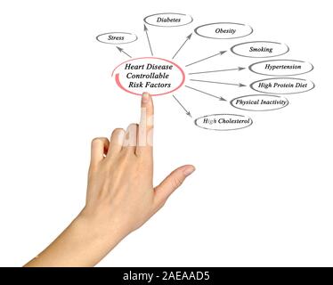 La malattia di cuore controllabile dei fattori di rischio Foto Stock