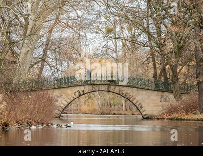 Hannover, Germania. 08 Dic, 2019. Un pedone cammina con il suo cane su un ponte in il Georgengarten. Credito: Lucas Bäuml/dpa/Alamy Live News Foto Stock