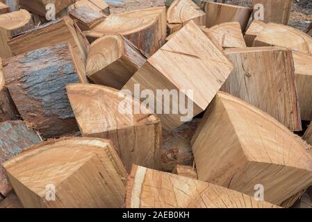 Chainsawed grandi blocchi di taglio fresco di eucalipto o pilularis Blackbutt tree a Sydney in Australia dopo una tempesta abbattuto l'albero. Foto Stock