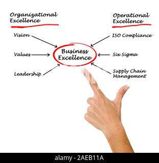 Schema di business excellence Foto Stock