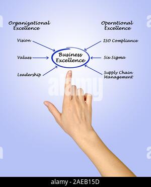 Schema di business excellence Foto Stock