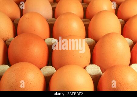 Le uova di gallina in una cassetta di close-up Foto Stock