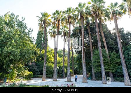 Donna asiatica con fedora bianco e cravatta blu-morto t-shirt in piedi da palme in Giardini Nazionali a Atene, Grecia Foto Stock