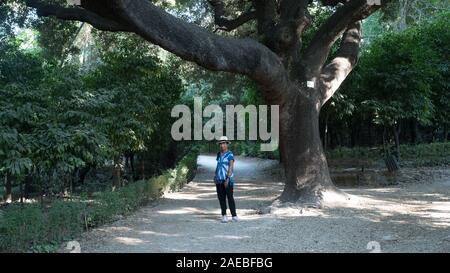 Donna asiatica con fedora bianco e cravatta blu-morto t-shirt in piedi mediante una struttura ad albero in Giardini Nazionali a Atene, Grecia Foto Stock