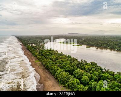 Tortuguero Costa Rica antenna fuco view Foto Stock