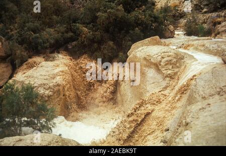 Inverno inondazione nel deserto della Giudea, Israele Foto Stock