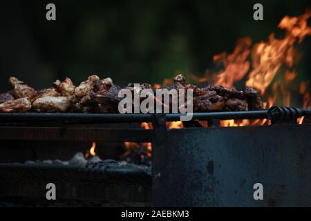 Picnic Barbecue e incandescente bricchette di carbone Foto Stock