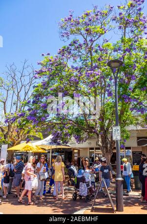 Alberi di jacaranda in piena fioritura durante il Rotary Jacaranda Festival 2019 a Ardross St Applecross Village Perth Western Australia. Foto Stock