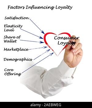 Fattori che influenzano la lealtà Foto Stock