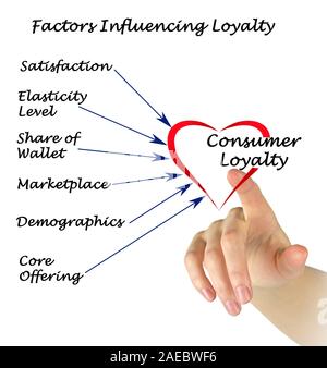 Fattori che influenzano la lealtà Foto Stock