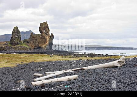 Costa e driftwood nell'ovest dell'Islanda con le tempeste. Queste rocce di origine vulcanica si trova sul lato sud della penisola di Snaefellsnes un Foto Stock