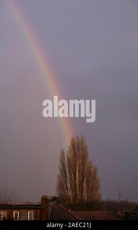 Il torneo di Wimbledon, Londra, Regno Unito. 8 dicembre 2019. Un arcobaleno forma con la fine del suo arco cadendo dietro un alto pioppo durante un pomeriggio doccia a pioggia a Londra. Credito: Malcolm Park/Alamy Live News. Foto Stock