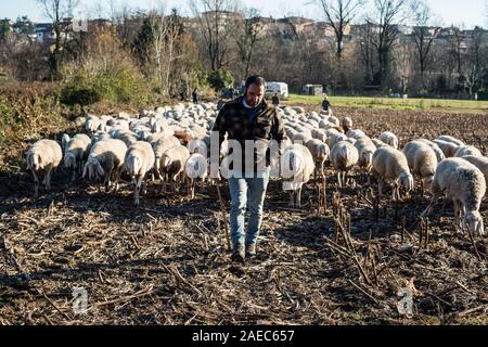 Pastori nel nord Italia, Dicembre 2019 Foto Stock