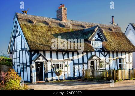 In bianco e nero a metà tradizionali con travi di legno del XVI secolo paese inglese cottage con il tetto di paglia nel Cheshire village di Haslington REGNO UNITO Foto Stock