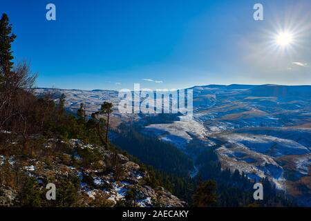 Il sole illumina la montagna innevata altopiano. In primo piano sono alberi di pino Foto Stock