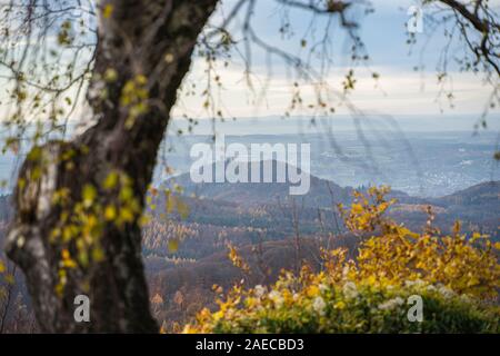 Vista dalla Oelberg al Drachenfels al fiume Reno su una foresta autunnale. Novembre scena. Foto Stock