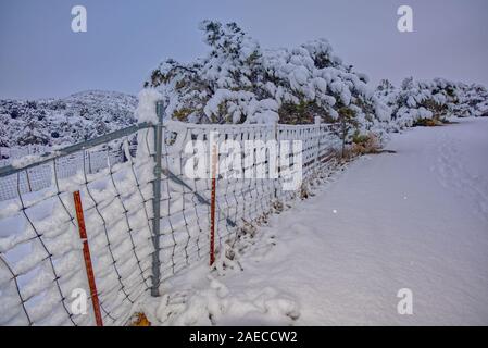 Un fenceline coperto di neve fresca dopo una tempesta di neve laminati attraverso Chino Valley AZ su grazie dando la notte. Foto Stock