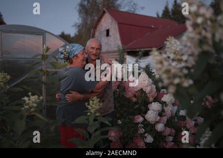 Il sambuco giovane è felice e abbracciando durante la violetta rosa al tramonto lungo tra i fiori delle ortensie - Vecchio e amorevole lovestory Foto Stock