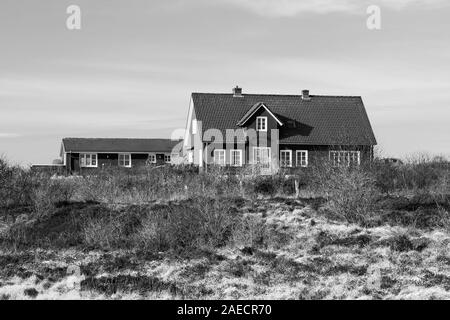 Ferienhaus, Heidelandschaft, Munkmarsch, Sylt Foto Stock