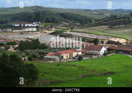 Entroterra artigianale per la produzione di sale in Rio Maior, Santarem distretto (Portogallo centrale) Foto Stock