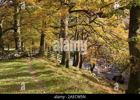 Dales modo sentiero , Brigflatts, York, Cumbria, England, Regno Unito Foto Stock