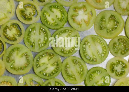 Solanum lycopersicum. Fette di acerbi pomodori verdi n una padella. Foto Stock