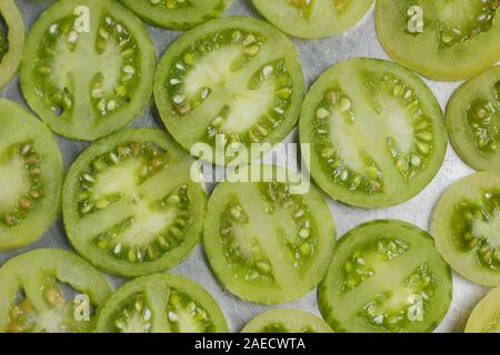 Solanum lycopersicum. Fette di acerbi pomodori verdi n una padella. Foto Stock