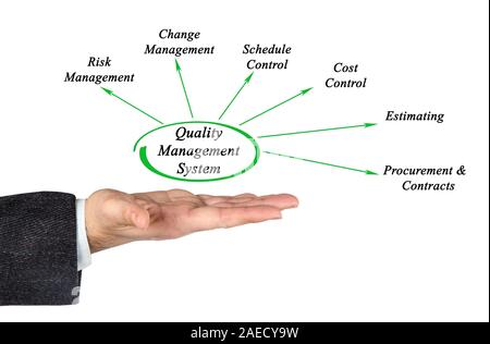 Schema del sistema di gestione per la qualità Foto Stock