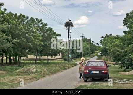 Tara, Serbia, giu 10, 2017. Festa tradizionale 'giorni di uccelli del genere'. Una donna fotografie un polo di alimentazione che ospita un nido e un uccello del Foto Stock