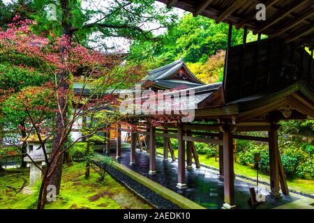 Lanterna e moss giapponese circostante giardino zen al Tempio di Ryoanji, Kyoto, Giappone Foto Stock