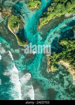 Isola mondo, sistema di mangrovie, acqua turchese isola tropicale, Escudo de Veraguas, Panama Foto Stock
