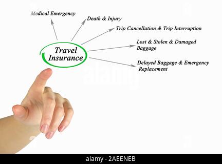 Schema di assicurazione di viaggio Foto Stock