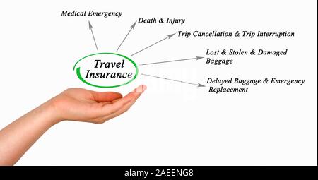 Schema di assicurazione di viaggio Foto Stock