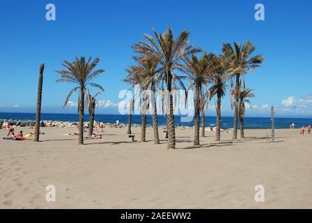 Palme e turisti sulla spiaggia con vista verso il mare Mediterraneo, Cabopino Marbella, provincia di Malaga, Spagna. Foto Stock