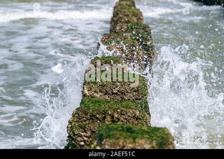 Sea Wave trasferite attraverso una groyne di legno accanto alla spiaggia. Foto Stock