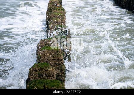 Sea Wave trasferite attraverso una groyne di legno accanto alla spiaggia. Foto Stock