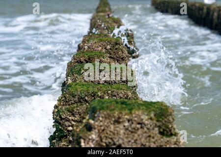 Sea Wave trasferite attraverso una groyne di legno accanto alla spiaggia. Foto Stock