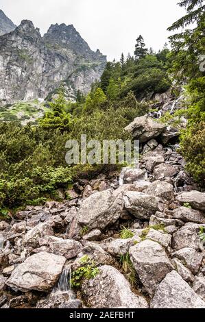 Le rocce in mountain creek oltre il Morskie Oko in Tatra, paesaggio della sorgente del fiume in montagna Foto Stock