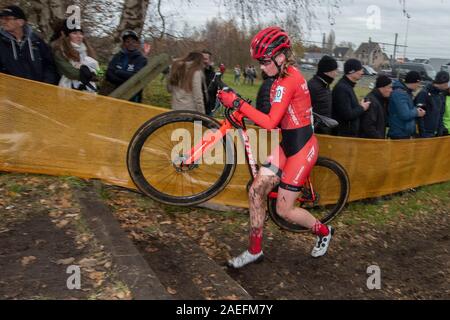 07-12-2019: Wielrennen: Bricocross: Essen Foto Stock