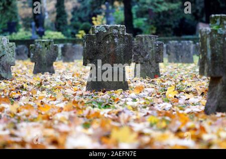 Croci sulle tombe di un cimitero militare dalla Seconda Guerra Mondiale in mezzo di caduto foglie di autunno Foto Stock