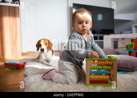 Ritratto di un anno di età del bambino seduto sul tappeto nella luminosa sala con cane beagle guardando la fotocamera. Foto Stock