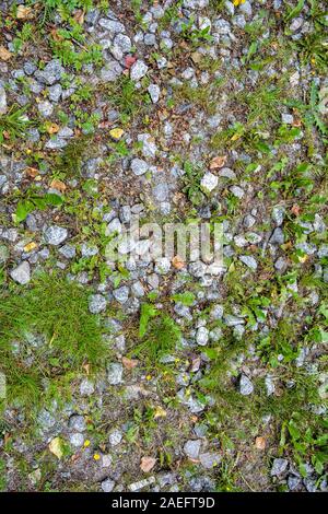 La tessitura di terra con piccole pietre di granito e crescere l'erba verde. Macerie di erba e piante e fiori sul terreno Foto Stock