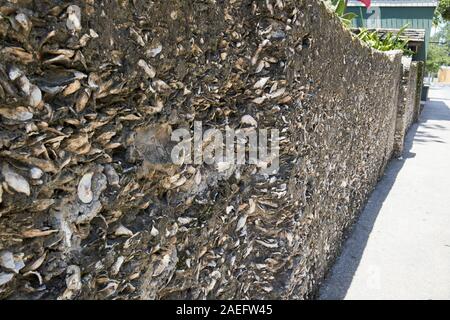 Tabby shell in stucco di conchiglie di mare utilizzato come aggregato in conglomerato di calcestruzzo in edificio storico st Augustine, Florida USA Foto Stock