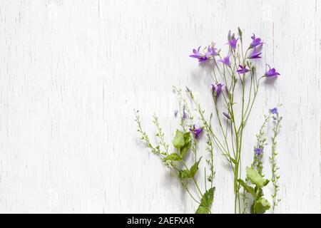 Vista dall'alto sui fiori selvatici in bianco sullo sfondo di legno. Fiori estivi, foglie e petali di fiori. Trifoglio, Daisy, campana-fiori, "non ti scordar di me". Appartamento Foto Stock