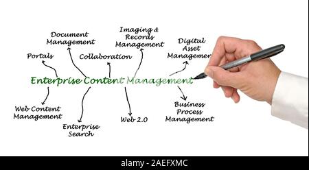 Schema di gestione contenuto aziendale Foto Stock