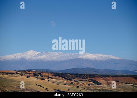 Ore del sorgere sulla coperta di neve della Sierra Nevada mountain range visto dalla campagna di Alhama de Granada in Spagna Foto Stock