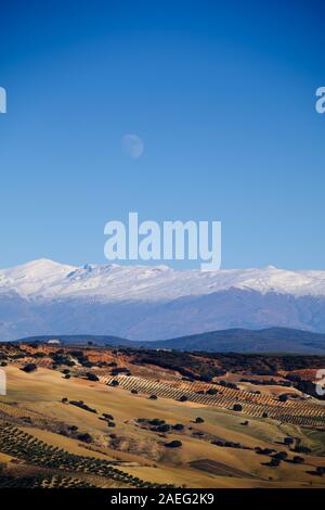 Ore del sorgere sulla coperta di neve della Sierra Nevada mountain range visto dalla campagna di Alhama de Granada in Spagna Foto Stock