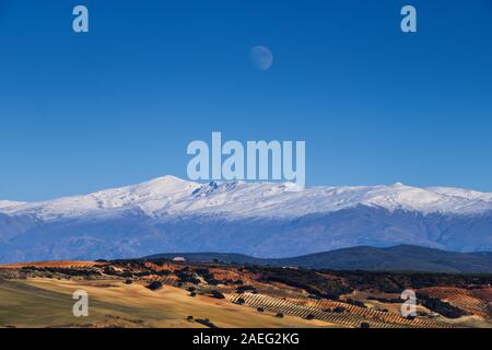 Ore del sorgere sulla coperta di neve della Sierra Nevada mountain range visto dalla campagna di Alhama de Granada in Spagna Foto Stock